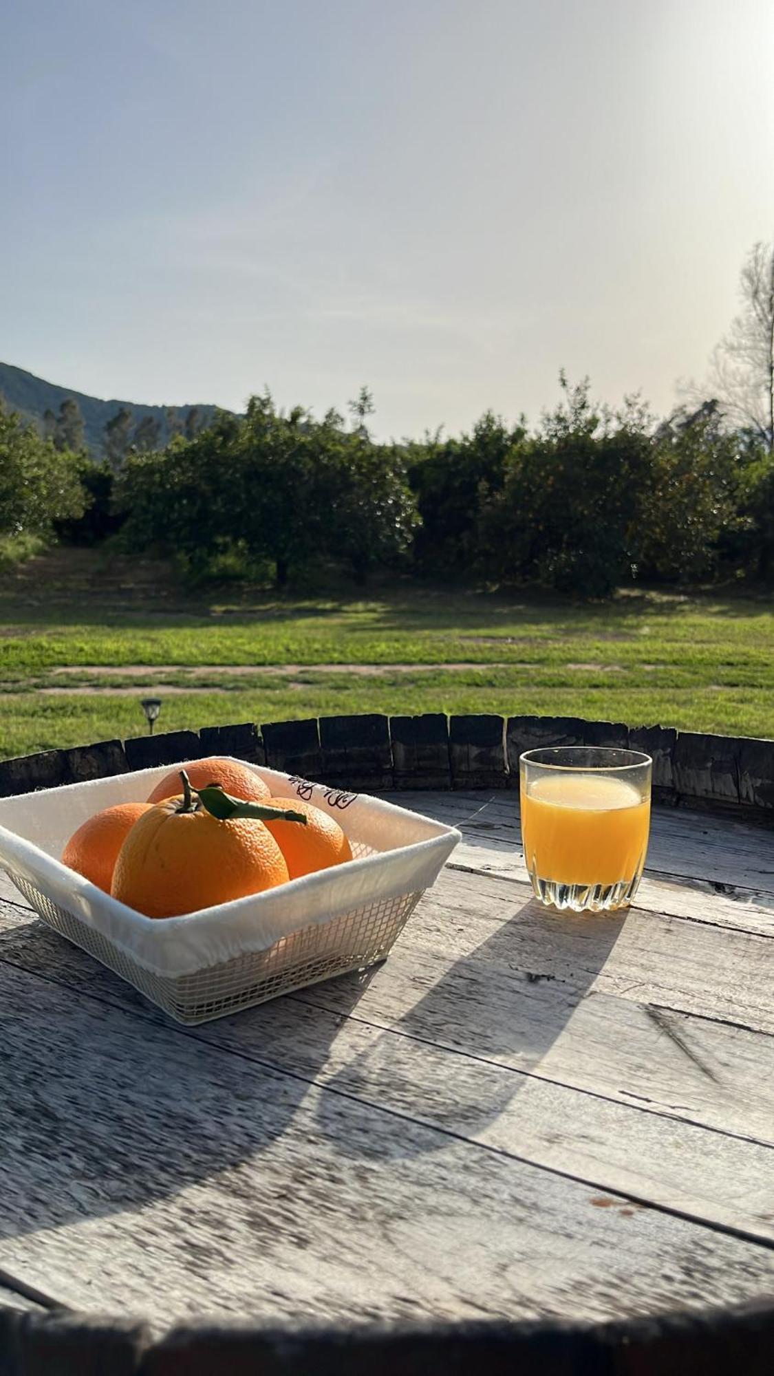 Bed and Breakfast Bidd'E Majori à San Priamo Extérieur photo